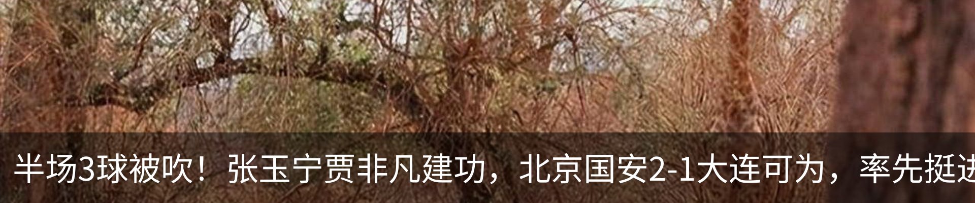 热点资讯